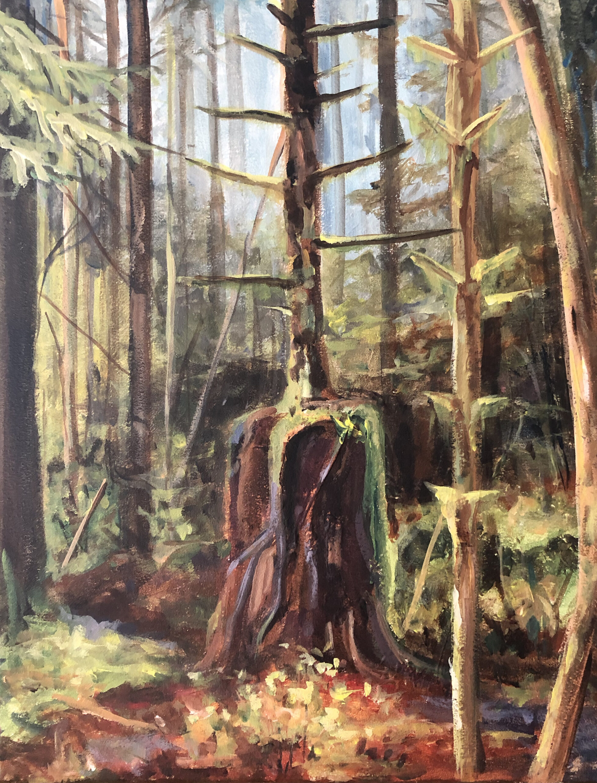 Tree stump with a new tree growing from it in a forest.