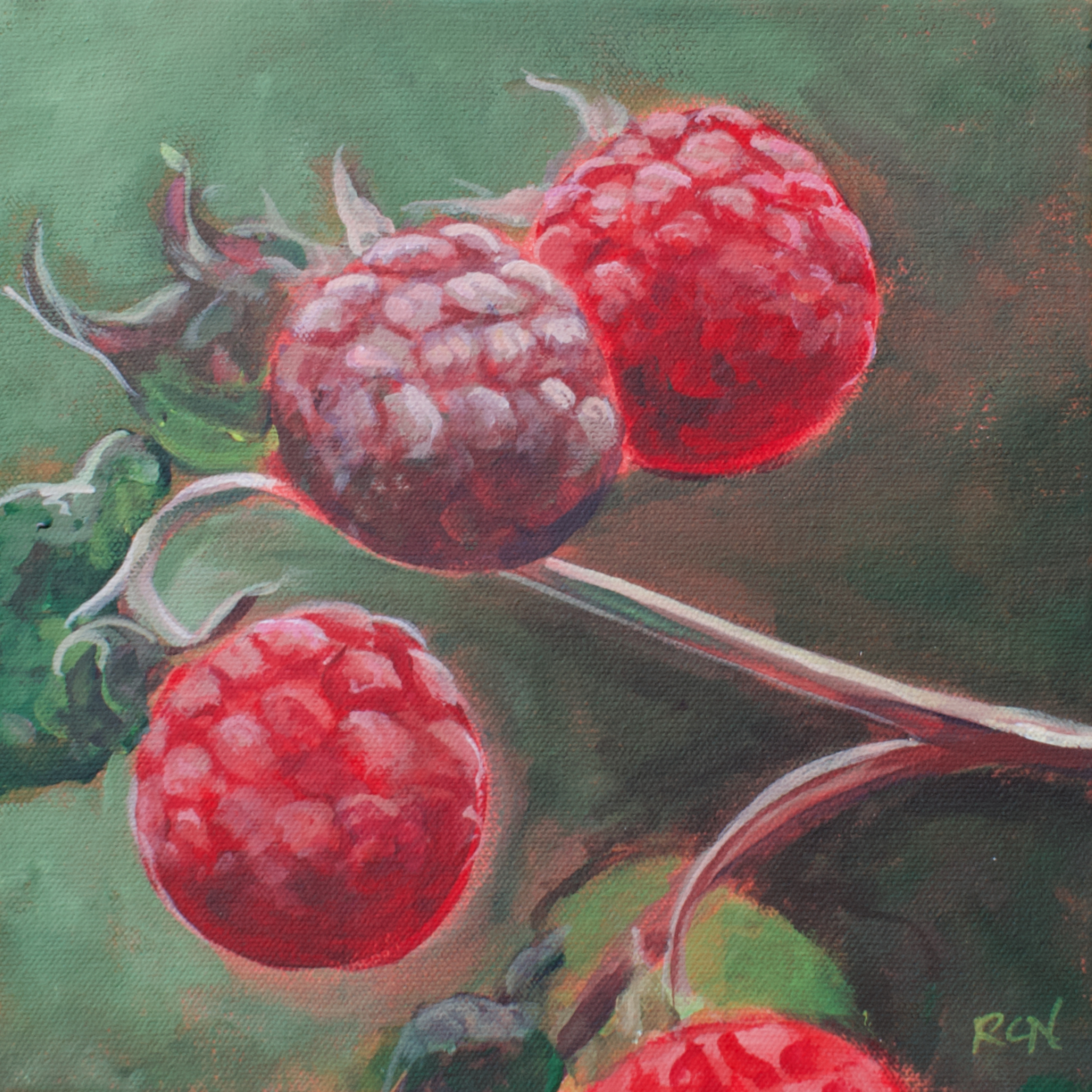 4 raspberries on a vine infront of a green background.