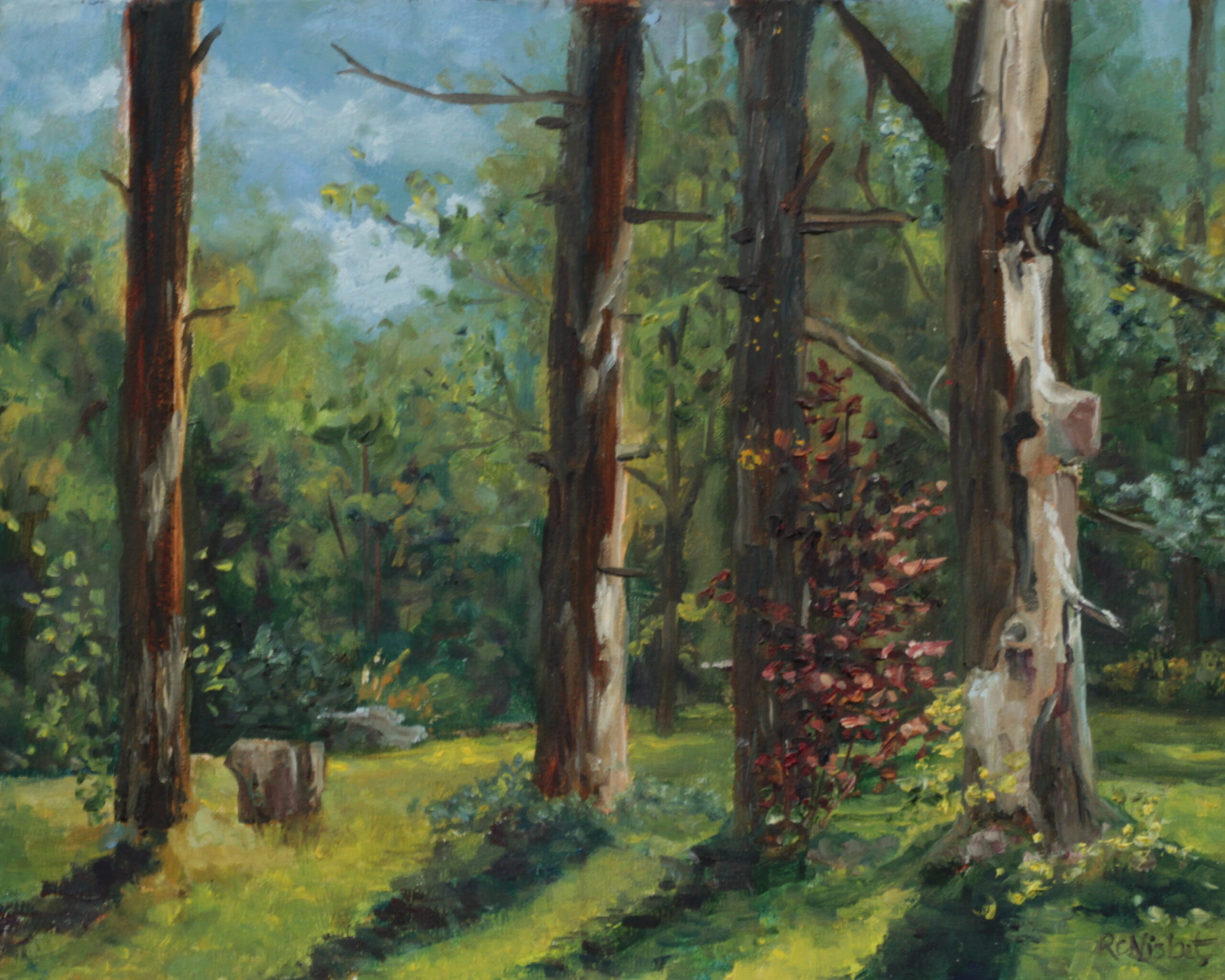 Four pine trees in a field with a forest behind them.