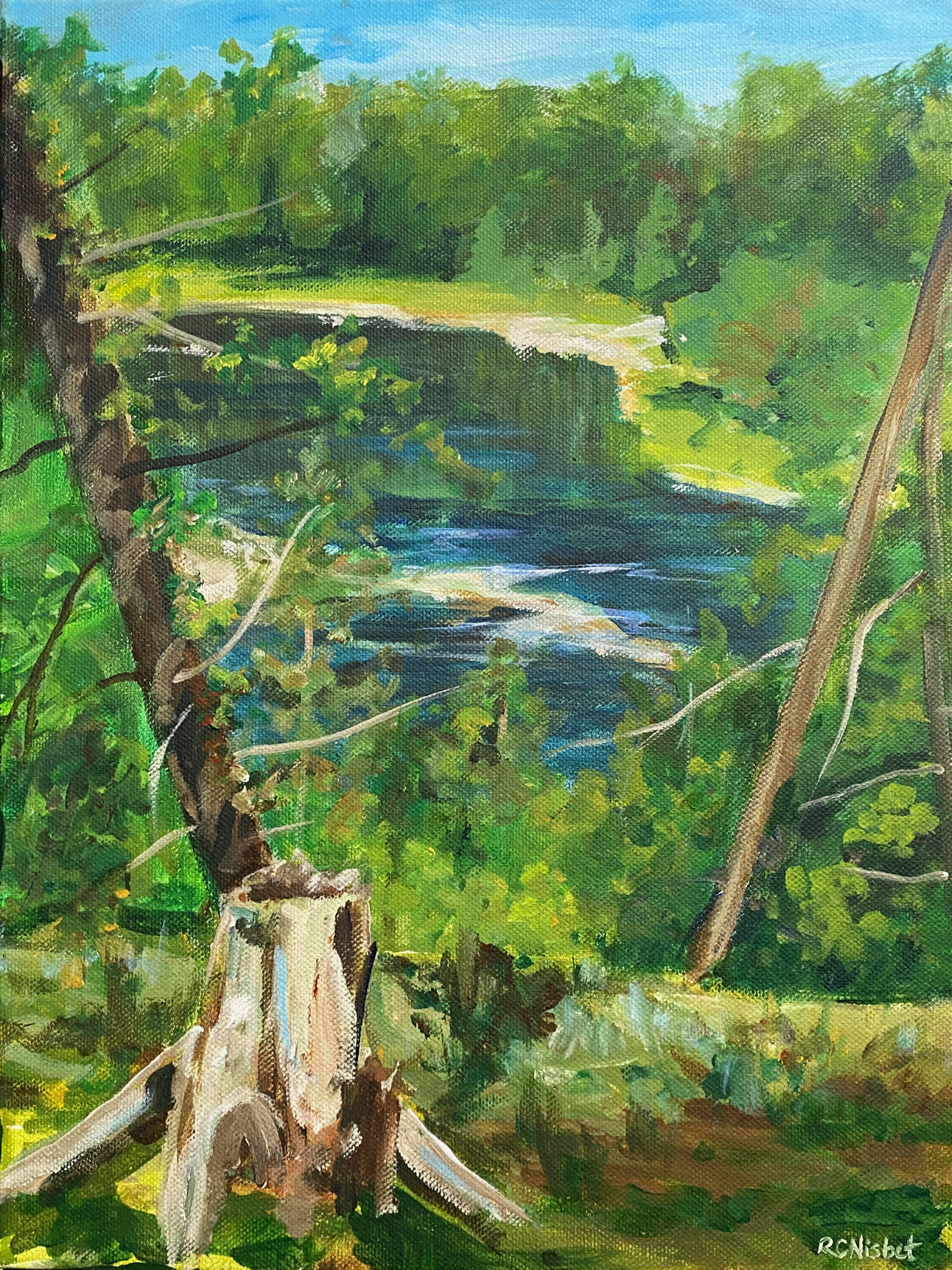 Tree stump on a cliff looking over a river in the distance.