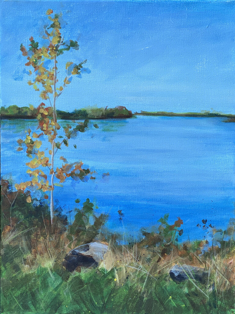 Little tree with autumn leaves at edge of lake.